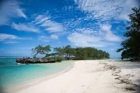 Plage de sable bordée de végétation