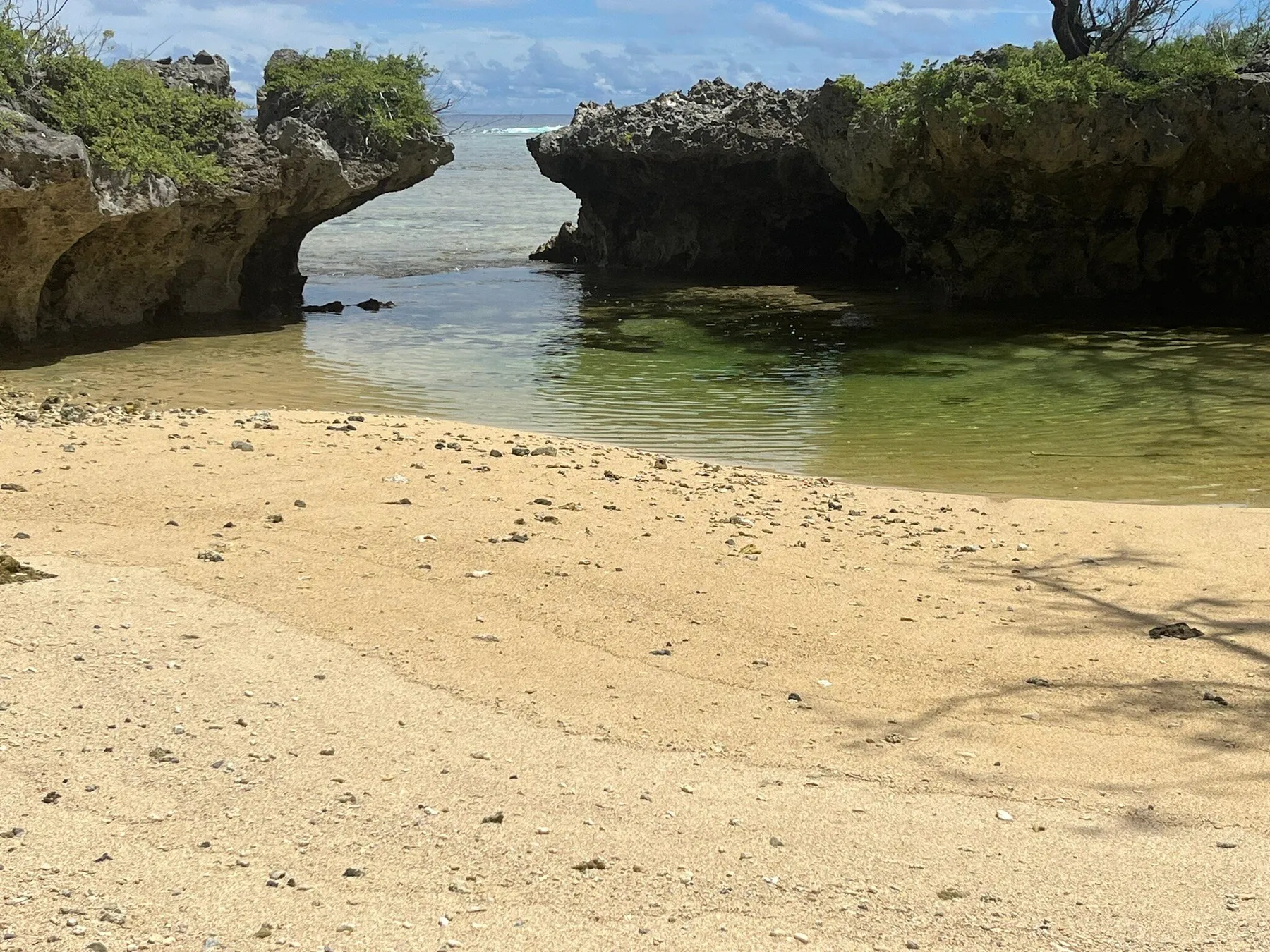 Crique ourlée de feo, corail fossilisé